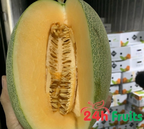 Dưa lưới Đài Loan Melon