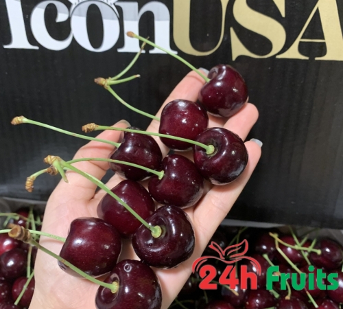 Cherry Mỹ Icon size 8.5